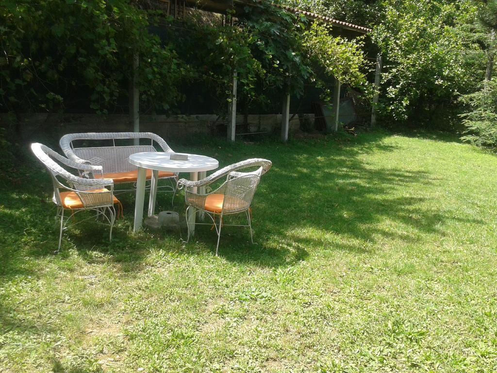Apartment Sasha Kotor Luaran gambar