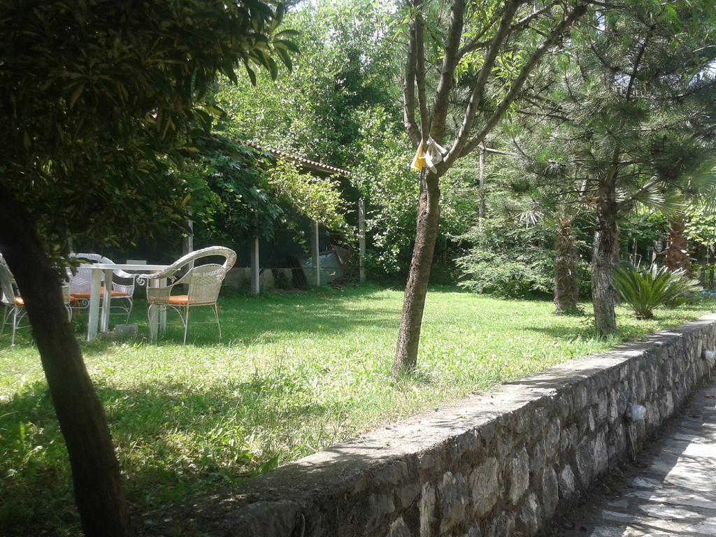 Apartment Sasha Kotor Luaran gambar
