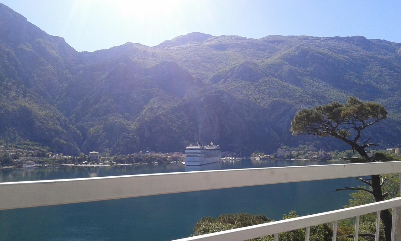 Apartment Sasha Kotor Luaran gambar