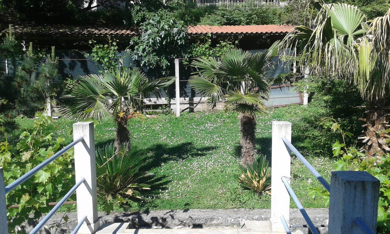Apartment Sasha Kotor Luaran gambar